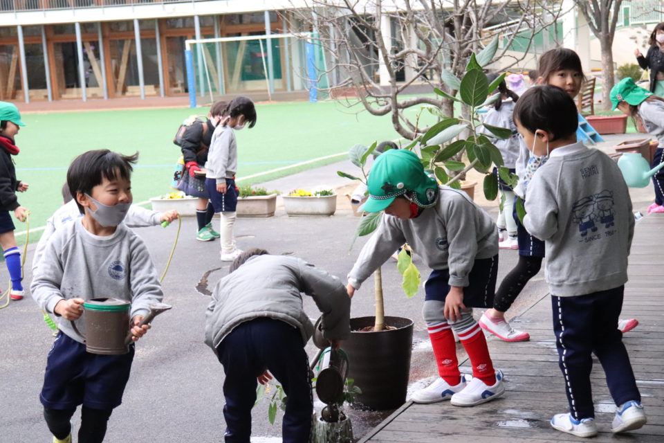 植物に水やりをしている園児達