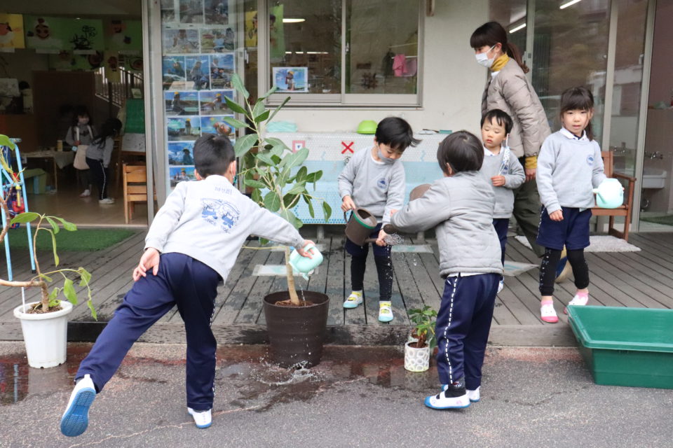 植物に水やりをしている園児達